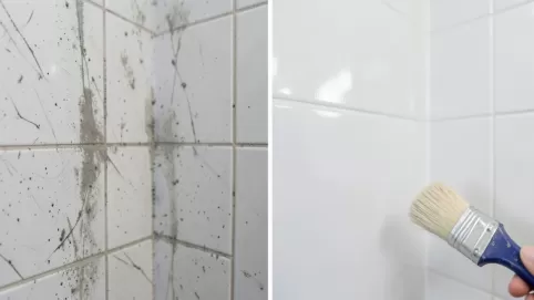 farba do malowania kabiny prysznicowej